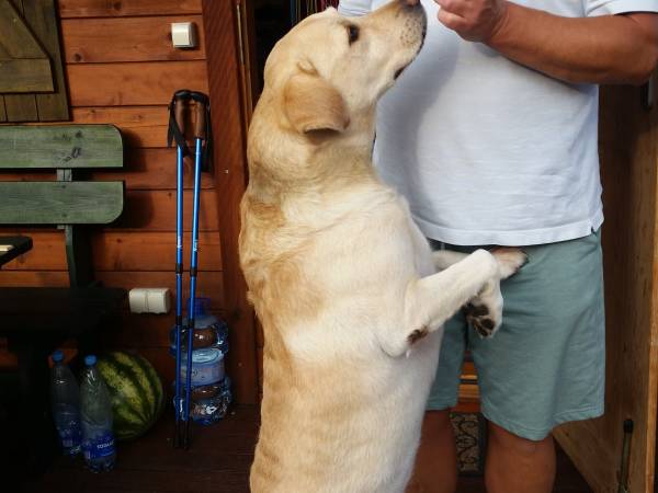 Domki i apartamenty Morska Dolina