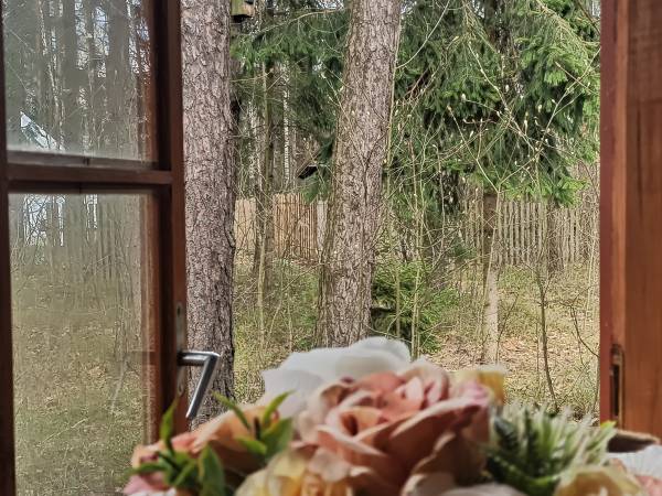 Agroturystyka Bora Zdrój