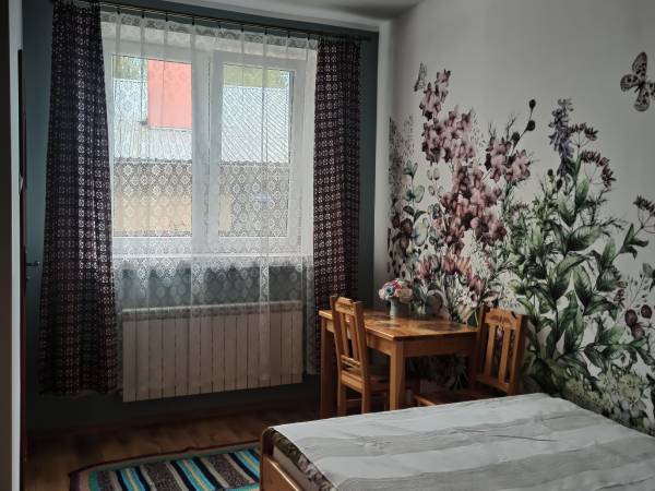 Agroturystyka Bora Zdrój