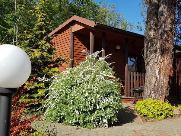 Domek 4-osobowy 2-pokojowy