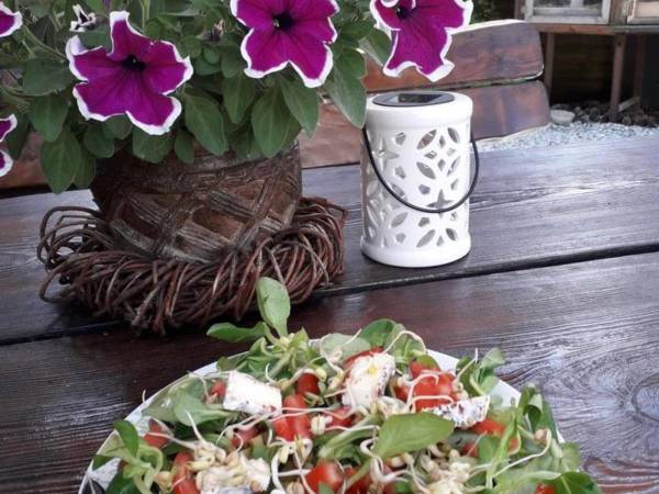 u nas zdrowo-kolorowo