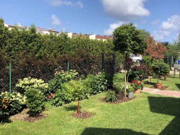 Domki Wakacyjna Przygoda