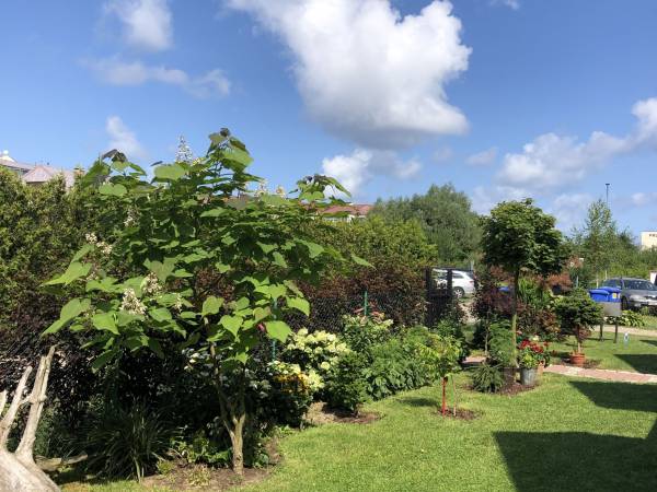 Domki Wakacyjna Przygoda