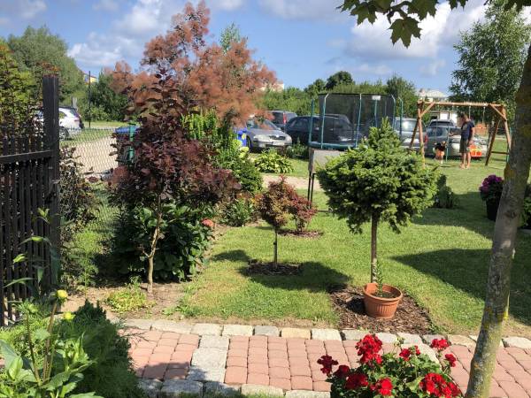 Domki Wakacyjna Przygoda