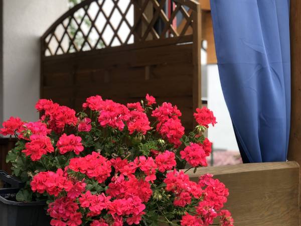 Domki Wakacyjna Przygoda