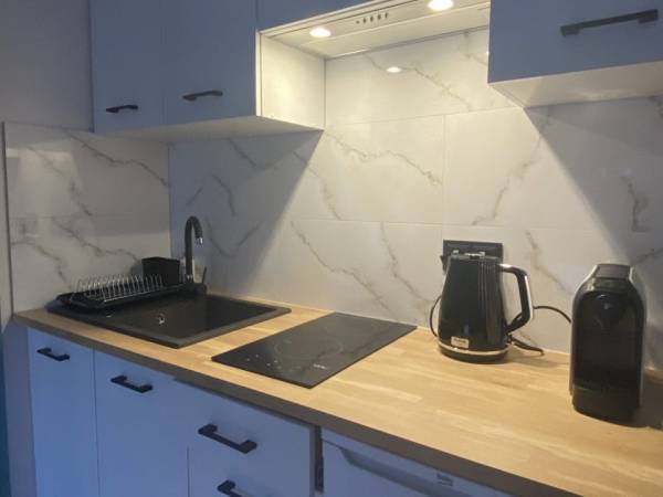 aneks kuchenny w apartamencie z tarasem