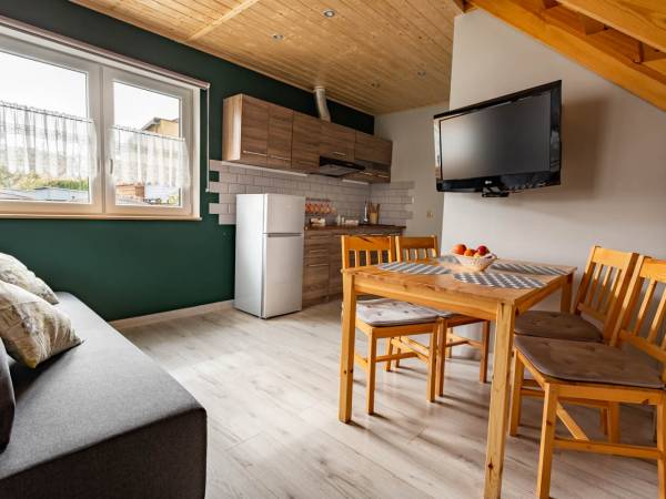 Pokój z aneksem kuchennym 