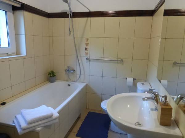 łazienka w dolnym apartamencie