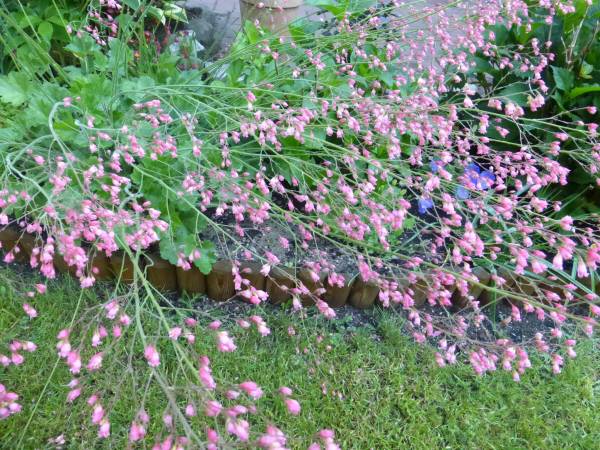 Apartamenty Gościnne Markowy