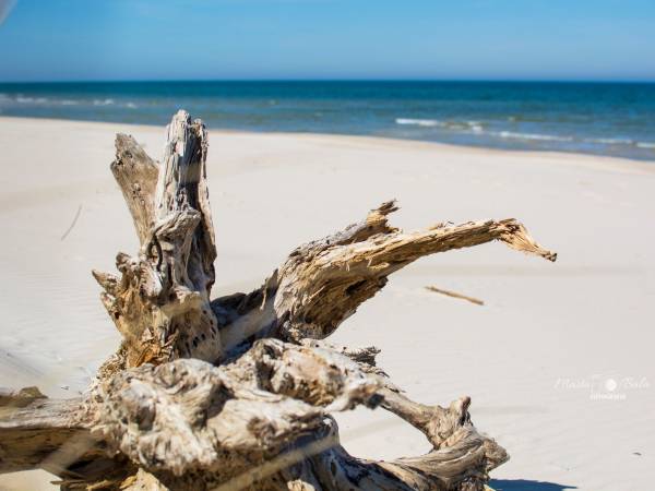 Domki Letniskowe Andiland