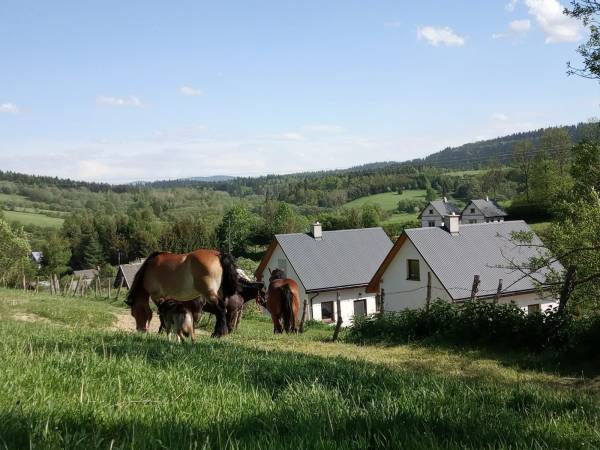 Domki w Bieszczadzkiej Dolinie