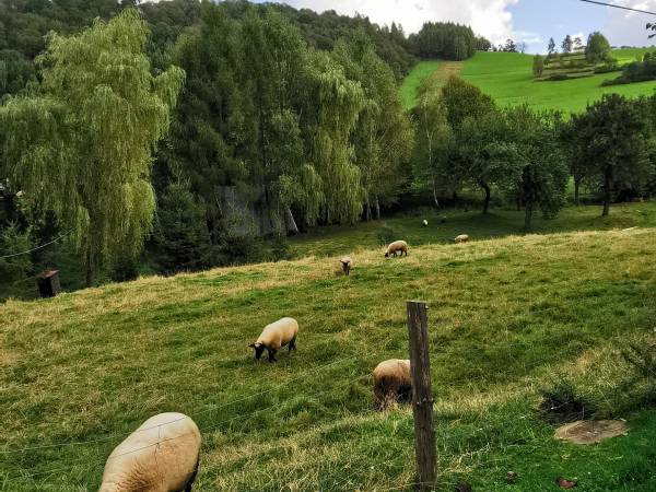 Domki w Górnym Końcu TERKA