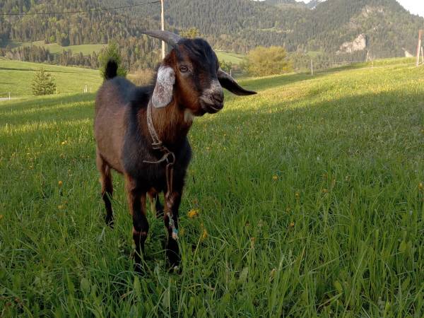 Agroturystyka Pod Zamczyskiem 