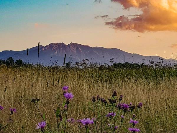 nasza piękna okolica