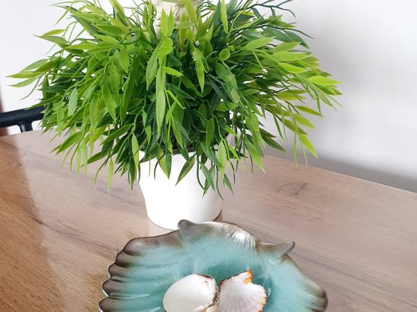 Szumi Morze Jastarnia