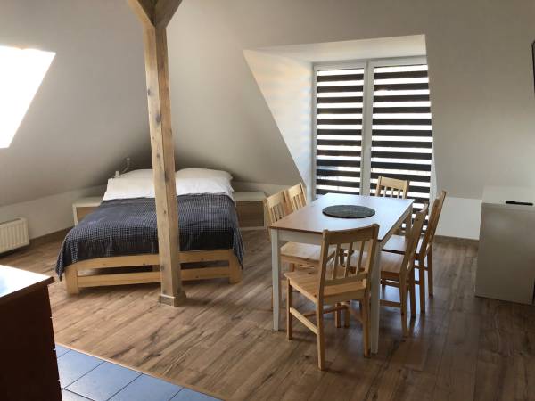 Apartament (pokój z aneksem)