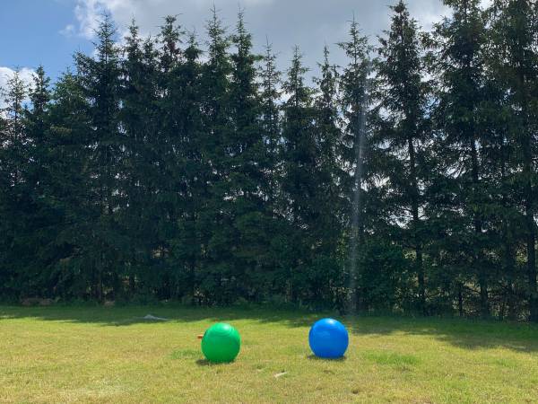 Siedlisko Żywe Kamienie