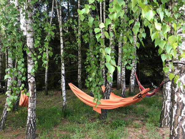 Siedlisko Żywe Kamienie