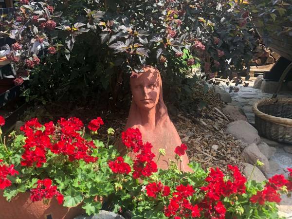 Siedlisko Żywe Kamienie