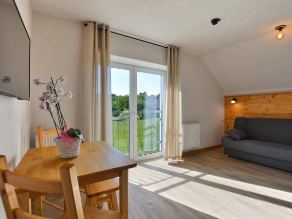 Pokój dzienny z sypialnią Apartament 1