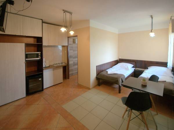 Pokój 2 os z aneksem kuchennym ,łazienką