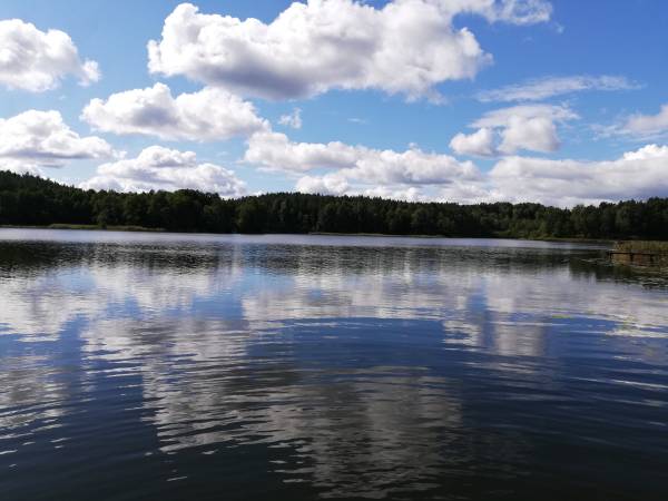 Domki Płociczno z własną plażą