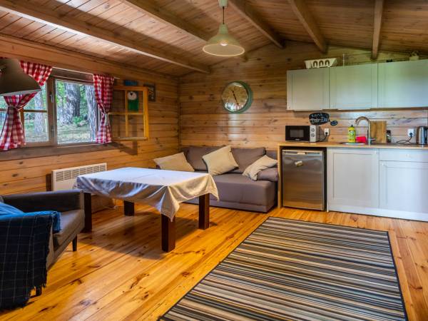 Wnętrze domku pięcioosobowego. Salon z aneksem kuchennym i rozkładana sofa.