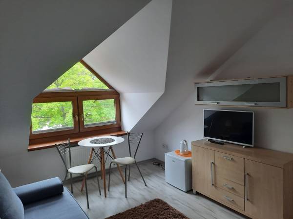 Pokój 1-osobowy z łazienką naprzeciwko pokoju (8)