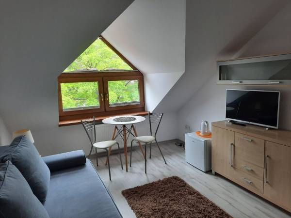 Pokój 1-osobowy z łazienką naprzeciwko pokoju (8)