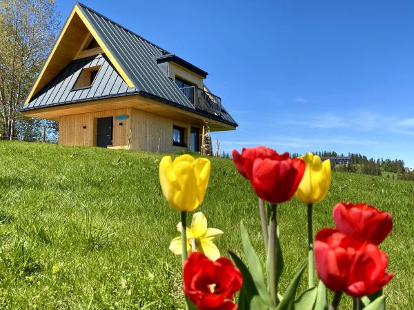 Stacja Wierchowa 972 m