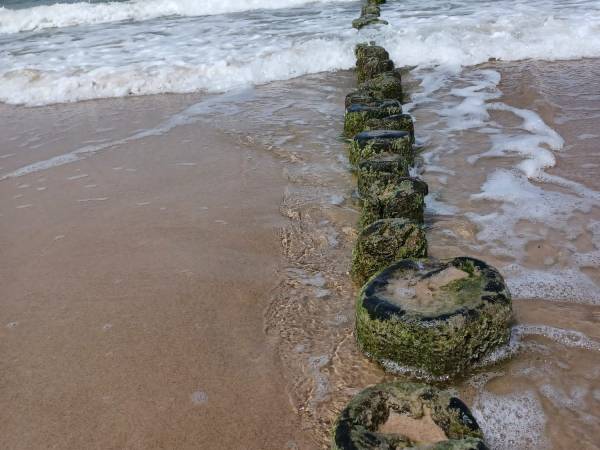 Słoneczny Zakątek w Gąskach NOWE DOMKI 