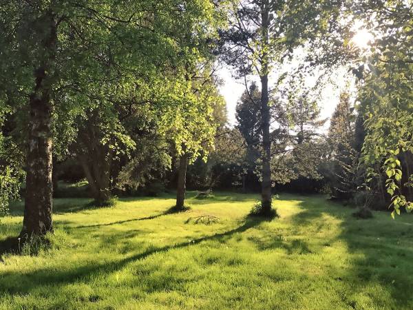 Polana obok grilla - kominka