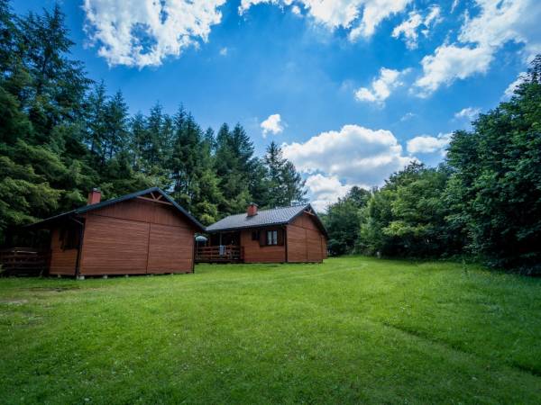 Ośrodek Wypoczynkowy Brzoza