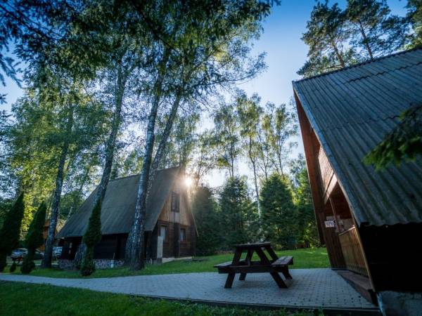 Ośrodek Wypoczynkowy Brzoza