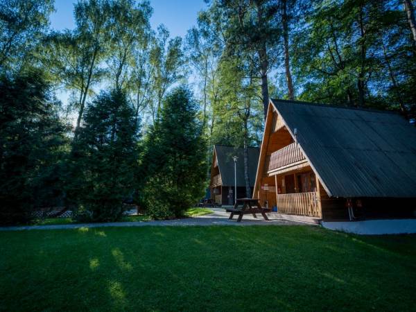 Ośrodek Wypoczynkowy Brzoza