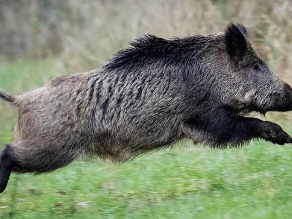 Pokoje Gościnne Rekin