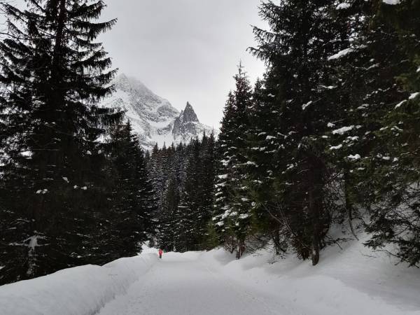 Dom na Rusińskim 11