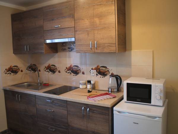 Apartament 4 osobowy - kuchnia