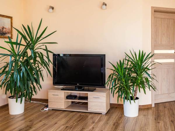 Apartament Słoneczny