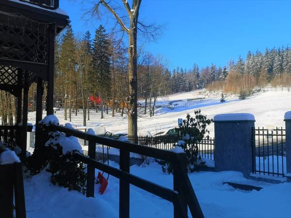 Widok z Willi na stok narciarski