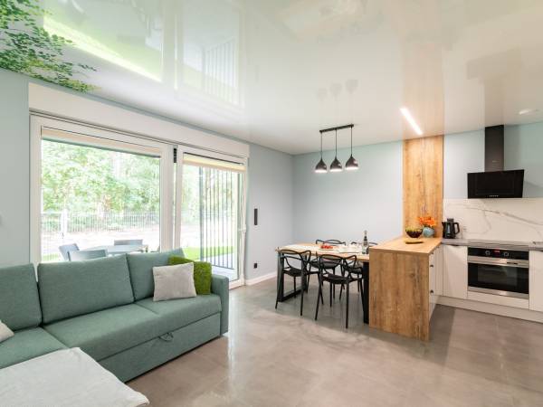 Salon z aneksem kuchennym - parter