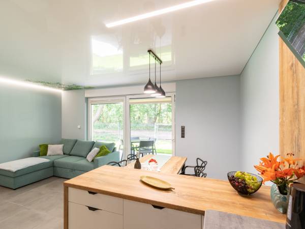 Salon z aneksem kuchennym - parter