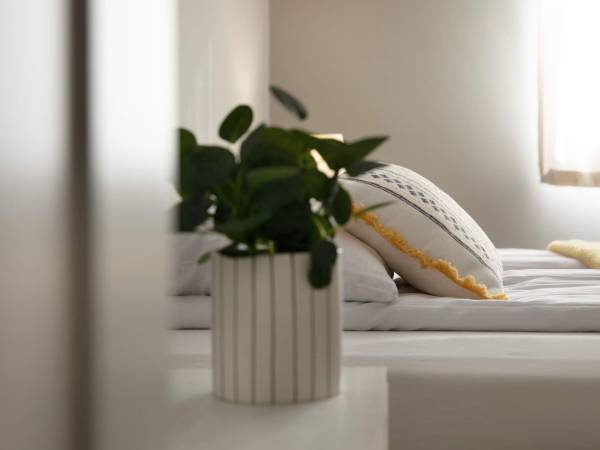 Wigierska NiemaSówka