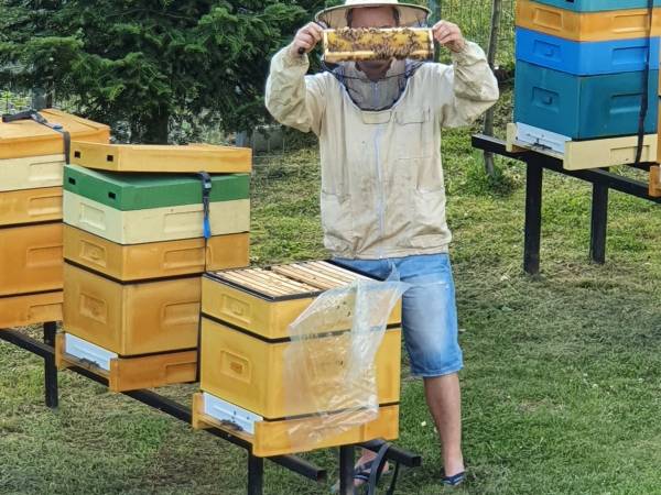 Willa pod Babią Górą