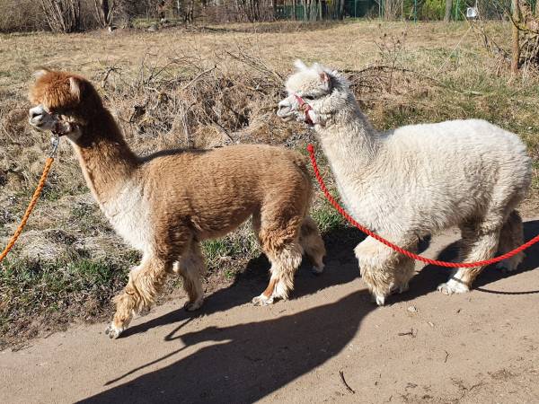 Gospodarstwo Agroturystyczne Zacisze