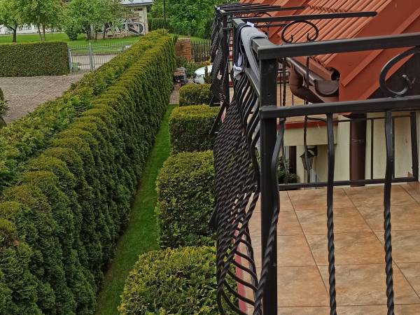 Delicja Dom Gościnny 