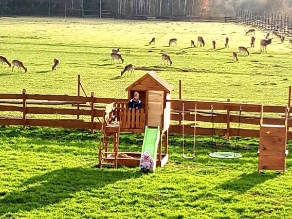 Domki OstoYa Bieszczady / Solina