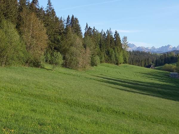 Babcia Góralka House