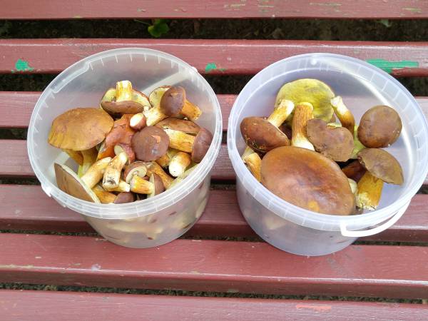 Ośrodek Nadkole Gaj