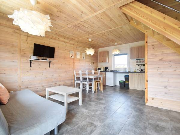 Pokój dzienny z aneksem 